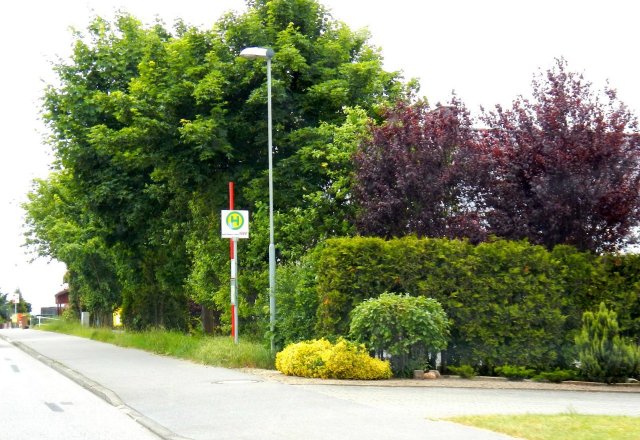 hamberge1