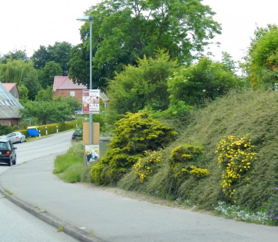 hansfelde2